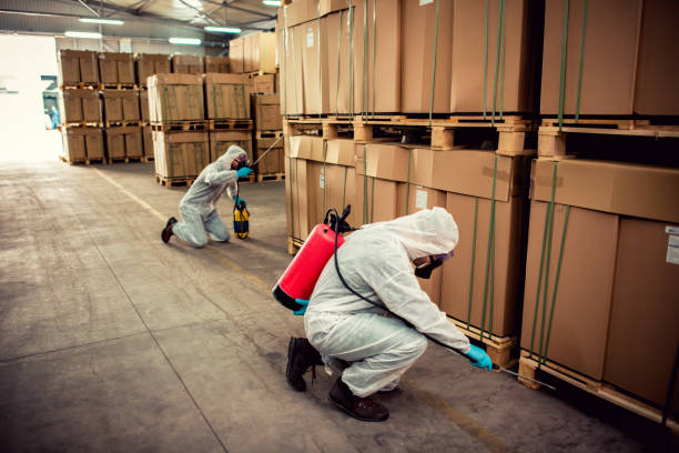 Best Termite Control Services  in Bay Minette, AL