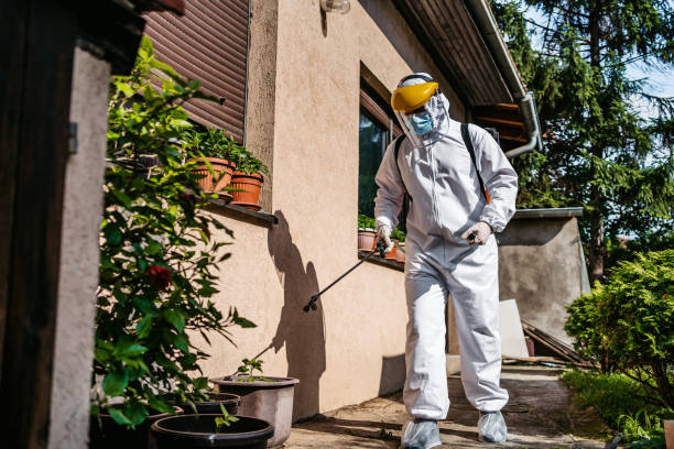 Best Spider Control Near Me  in Bay Minette, AL