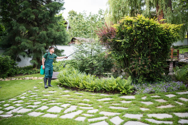 Best Mosquito Control Services  in Bay Minette, AL