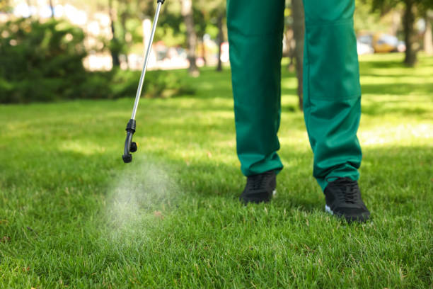 Best Bed Bug Extermination  in Bay Minette, AL