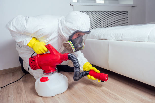 Best Affordable Pest Control Services  in Bay Minette, AL