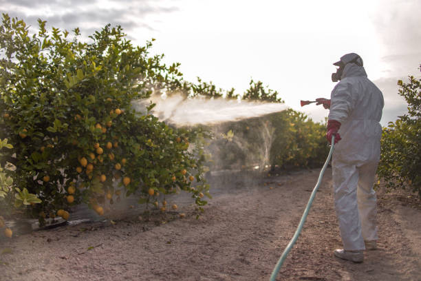 Best Wasp Removal Services  in Bay Minette, AL