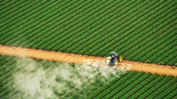 Best Insect Control  in Bay Minette, AL