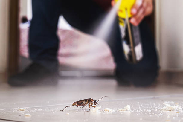 Best Wildlife Control Services  in Bay Minette, AL