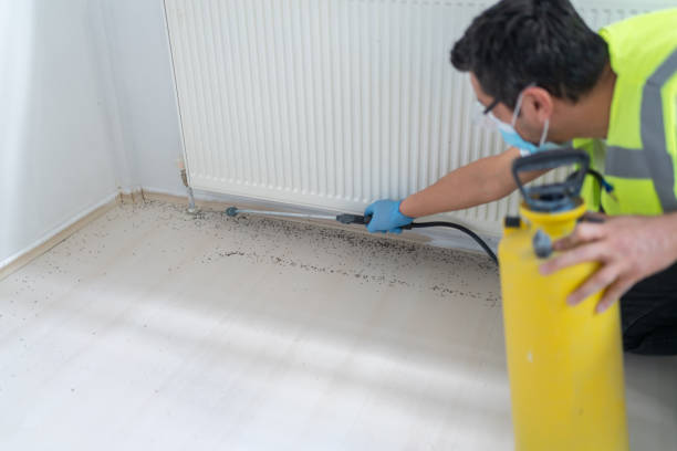 Wasp Removal Services in Bay Minette, AL