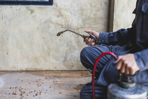 Best Ant Control Services  in Bay Minette, AL