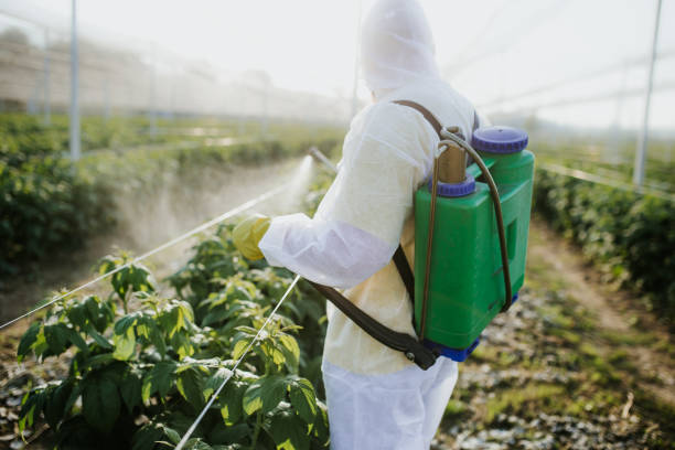 Reliable Bay Minette, AL Pest Control Solutions